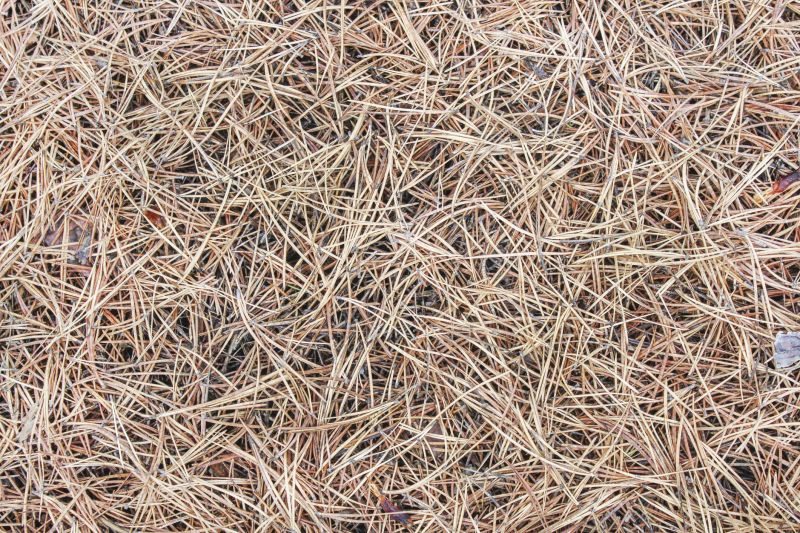 Pine Straw Removal