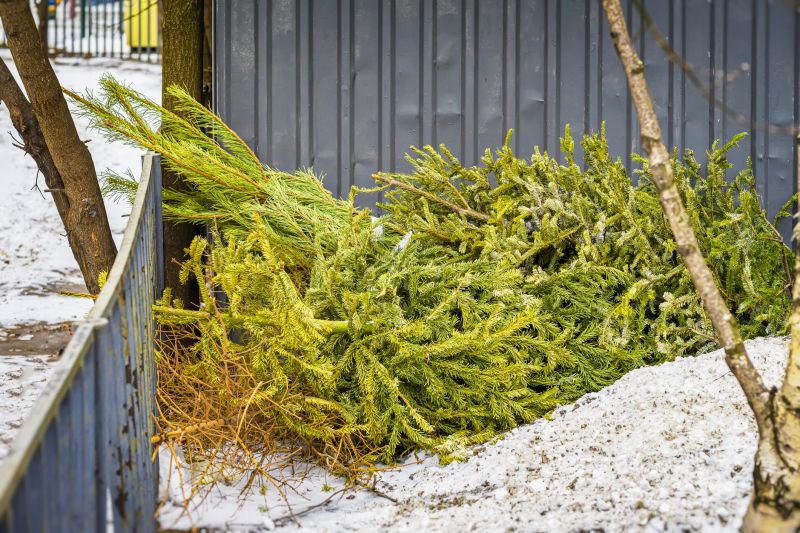 Pine Straw Removal