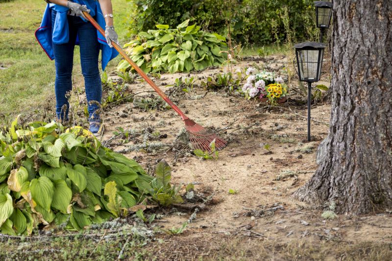 Customized Service Plans